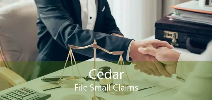 Cedar File Small Claims