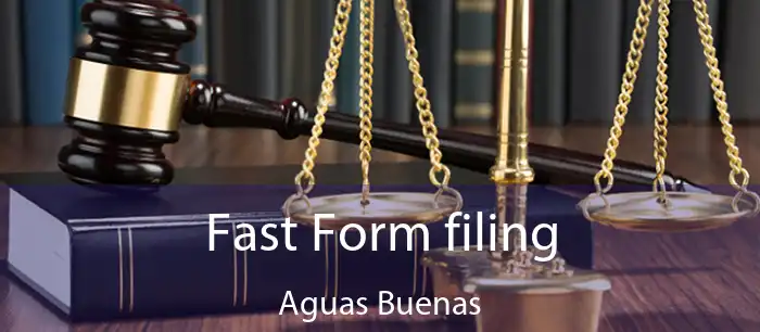 Fast Form filing Aguas Buenas
