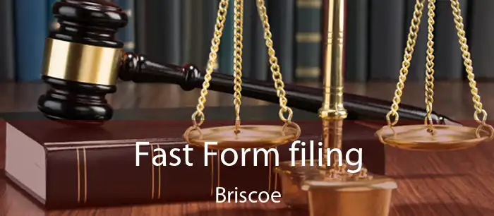 Fast Form filing Briscoe