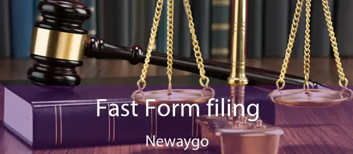 Fast Form filing Newaygo