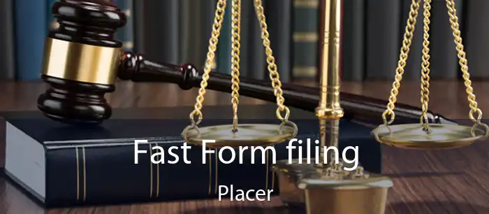 Fast Form filing Placer