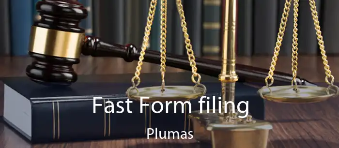 Fast Form filing Plumas