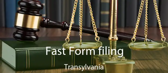 Fast Form filing Transylvania