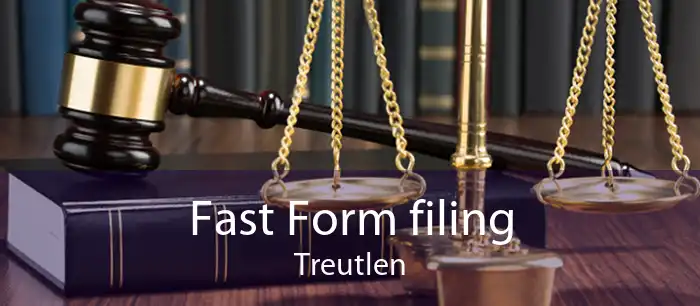 Fast Form filing Treutlen