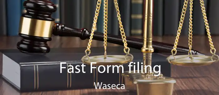 Fast Form filing Waseca