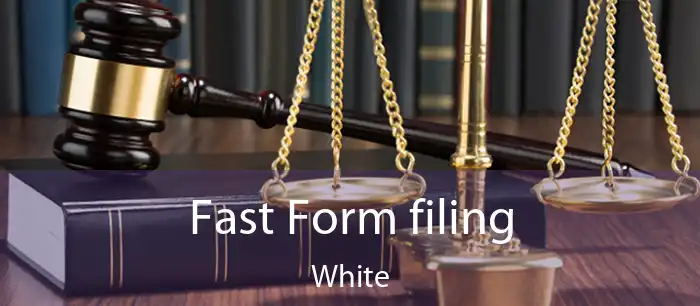 Fast Form filing White
