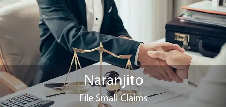 Naranjito File Small Claims