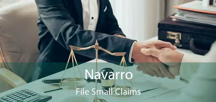 Navarro File Small Claims