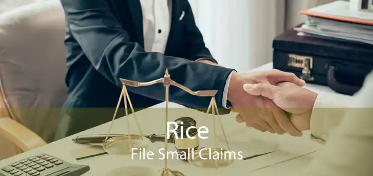 Rice File Small Claims