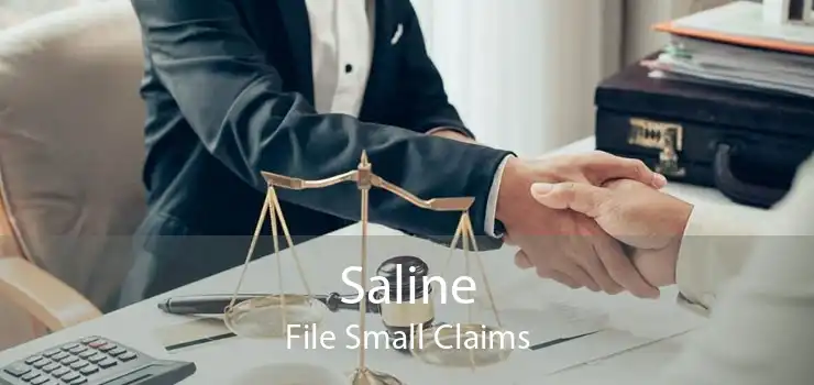 Saline File Small Claims