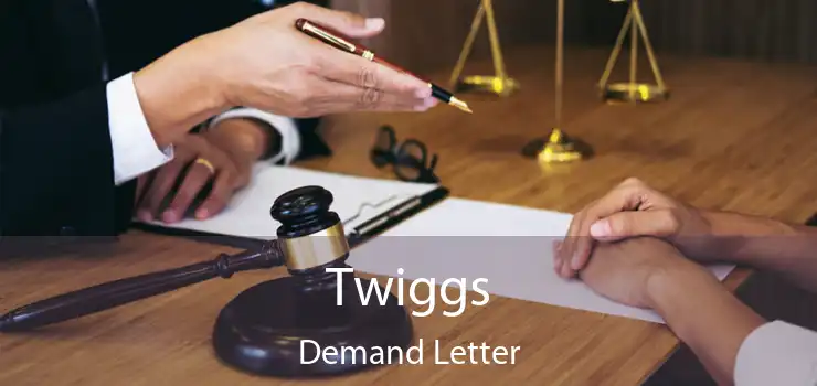 Twiggs Demand Letter